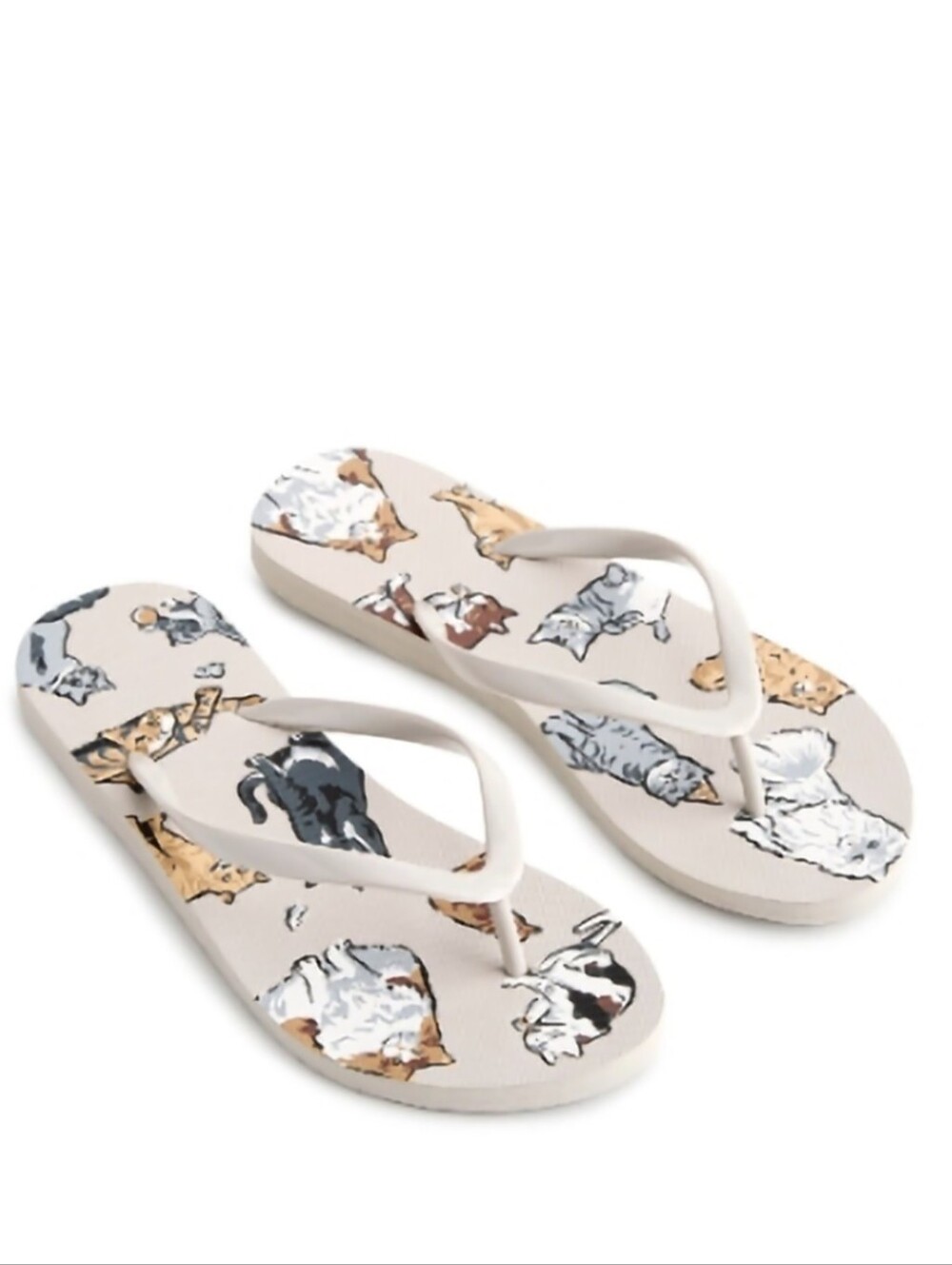 Vera Bradley Flip Flops Sz L(9/10) In A Cat's Life Decor NWT